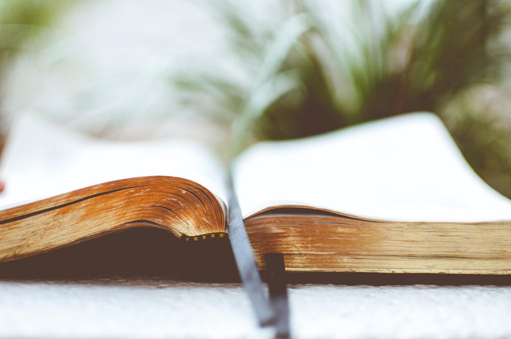 Religious View On Cremation: Southern Baptist