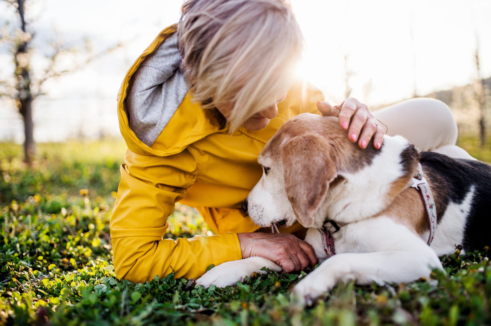 Cherishing Memories: A Guide to Pet Cremation Jewelry