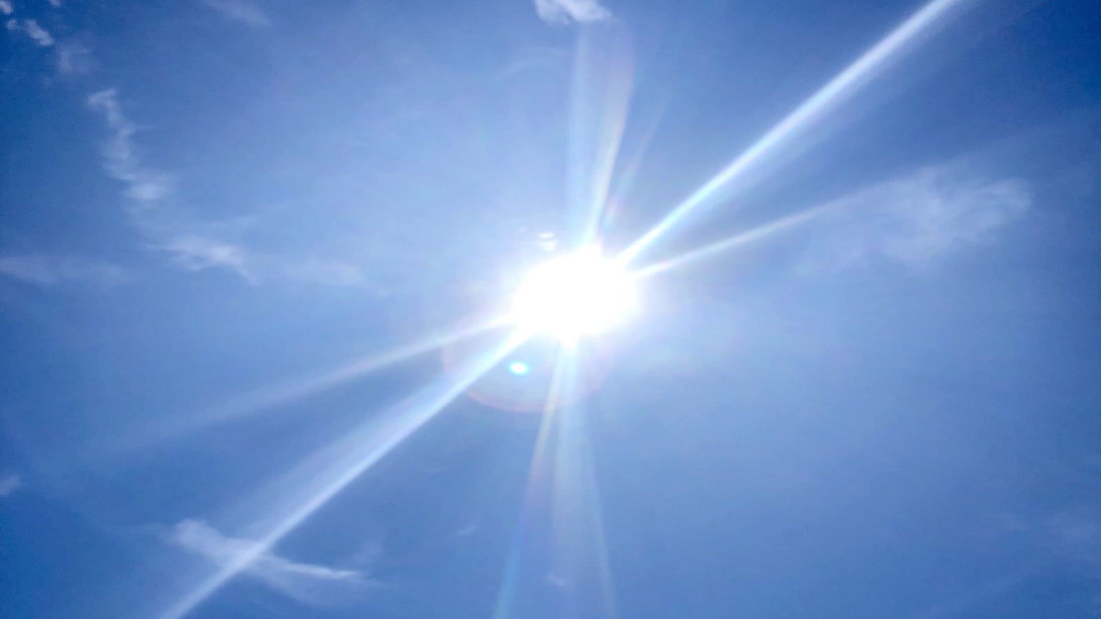 Looking up at the sky with sunshine. 