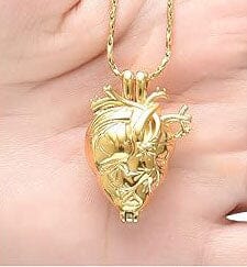 Silver Anatomical Heart Cremation Urn Necklace Cremation Necklace Cherished Emblems 