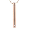 Silver Minimalist Cremation Urn Necklace With Rhinestone Gem Cremation Necklace Cherished Emblems Rose Gold 